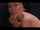 peep show stripper blowjob