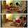 lesbians seducing kissing