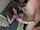 amateur couple webcam