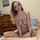 camgirl handjob sexy