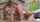 teen blowjob bangbros
