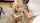 whore blowjob cumshot