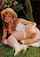 blond babe xxx
