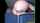 camgirl creamy wet