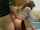 teen amateur doggy
