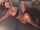 lesbian blindfold ebony