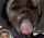 ebony blowjob spit