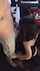 amateur blowjob brunette
