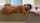 porn ad big ass bathtub
