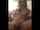 camgirl periscope stripping
