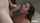 tits blowjob sucking