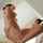 stepmom stepson squirt