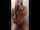 cam girl show masturbate