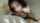 blowjob brunette pov