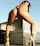 brunette teen ass
