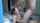 cumshot couple sex
