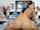 riding amateur webcam
