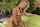 fuck riding blonde