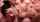 cumshot professional brunette