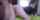 amateur camgirl brunette
