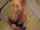 blonde blowjob teen