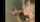 gloryhole blowjob blonde