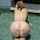 pawg booty pool