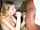 blowjob deepthroat teen