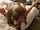 anal brunette hardcore