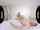 cumshot compilation vrsex