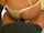 blonde thong creampie