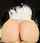 big ass sexy pussy