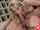 peter north blonde blowjob