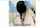 knee socks teen caucasian