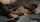 bruntee masturbating jerkoff