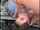 blonde deepthroat gagging