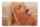 blonde tongue cum