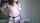 camgirl chubby brunette