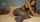 amateur camgirl pantyhose