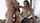 anal double penetration mmf