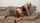 amateur blonde mature