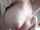 handjob cum doggy