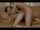 brunette missionary shaved