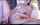 cam girl fingering moaning