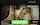 pornhub ads blonde