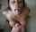ebony cum in mouth amateur