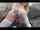 camgirl blonde masturbation