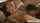 cunnilingus brunette mature