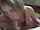 camgirl blond blowjob