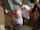 creampie japanese girl shaved